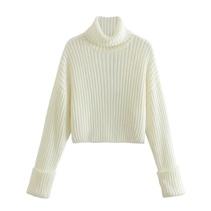 Pull Haut de Gamme Femme Col Roulé Texturé by Celeste